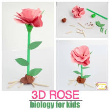 How To Make A 3d Model Of The Parts Of A Plant Parts Of A Flower Flower Science Flower Model