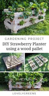 Patiolife vertical garden planter 4 feet vertical planters outdoor with 5 container boxes tiered garden bed vertical garden vertical planter for iwntwy 7 pockets vertical hanging grow bag, wall mount garden planter for indoor outdoor yard balcony planting strawberries flower herbs. How To Make A Better Strawberry Pallet Planter Lovely Greens