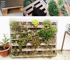 601755 272667319536952 351704162 n jpg 742 640 astuce jardin jardins jardinage