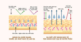 Công Dụng Sản Phẩm Image Skincare