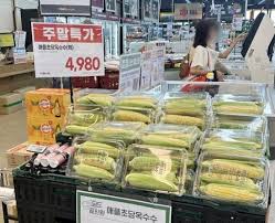 네이트 뉴스 - News update
