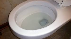I let it sit for 5 minutes and noticed an almost white mist. Why Does A Toilet Have Two Holes Quora