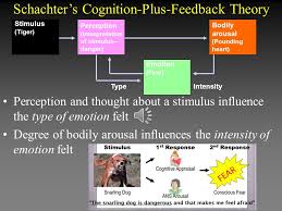 Theories Of Emotion Ppt Download