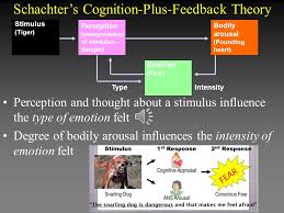 theories of emotion ppt download