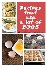 Interestingly enough, there was once a time—somewhere back in the distant '70s—when people were actually excited about cook. Blog Adelaide Chicken Sitting Service