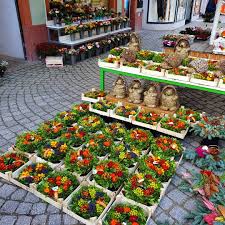 Fruchtkranze Herbst Allerheiligen Feiertag Kranze Kurbis Halloween Blumen Rosen Orchideen Pflanzen Stuttgart Rottweil Donaueschingen Villingens