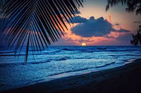 Check spelling or type a new query. Caribbean Night Wallpapers Top Free Caribbean Night Backgrounds Wallpaperaccess