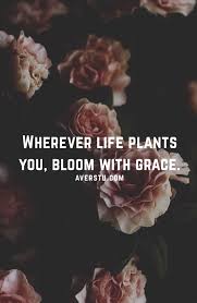 200 Inspirational Valuable Life Quotes That Will Make You Think Deeply Bloom Quotes Life Quotes Grace Quotes