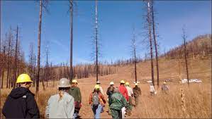 Burney Hat Creek Community Forest And Watershed Group Sierra Institute