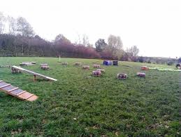 Maybe you would like to learn more about one of these? Secure 3 Acre Field Known Locally As The Famous Playpark With Toys And Fun Agility In Worcestershire Between Redditch And Bromsgrove Dog Walking Fields Enclosed Dog Walking Areas For Hire