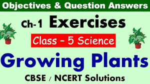 Name the five main groups of microorganisms. Growing Plants Class 5 Science Exercises Question Answers Cbse Ncert Syllabus Worksheet Youtube