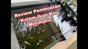 Kolam Ikan Koi Minimalis Mang Ewok