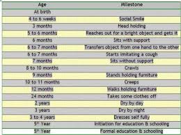 Baby Development Chart Baby Development Baby Development Chart Baby Development In Womb