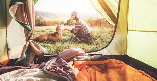 We did not find results for: 10 Dog Friendly Campgrounds In Colorado Oh Blog