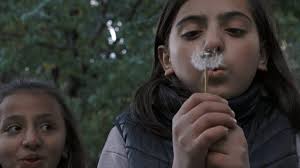 Festival 2024 Program