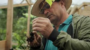 Antes y despues de la conservacion