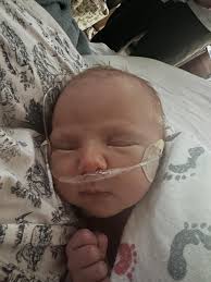 Kalyn Davis 🌲 (@kalynabridged) • Instagram photos and videos