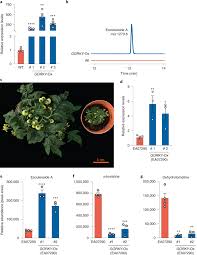 Check spelling or type a new query. The Gorky Glycoalkaloid Transporter Is Indispensable For Preventing Tomato Bitterness Nature Plants