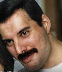 16 Freddie ideas to save today