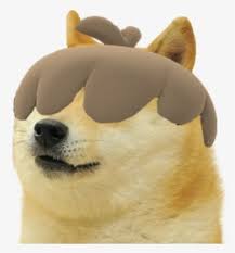 This rule has been expanded to cover 'forced' doge posts that feature the original 'doge' image. Doge Png Images Transparent Doge Image Download Page 3 Pngitem