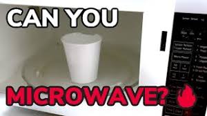 Can you microwave styrofoam take out boxes. Can You Microwave Styrofoam Tested Hunting Waterfalls