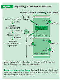 Image result for Potassium Replacement