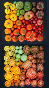 Photographer S Perfect Arrangements Series Highlights Color And Simplicity Photography Food Art Vegetables