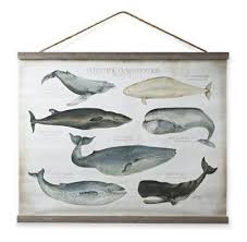 Rh Baby Child S Spring 2015 Collection New York Family Tapestry Restoration Hardware Baby Whale Nursery