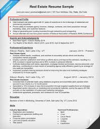 How To Write A Resume Profile Professional Examples