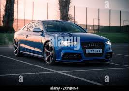 Image result for Sepangblau 2014 RS5