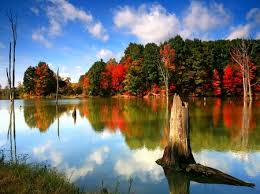 Fall In Vermont Herbst Hintergrundbild Herbstbilder Bilder