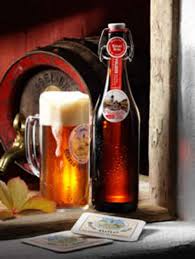 Mountainbike Neuschwanstein Und Maria Hilf Tour 11797