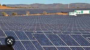 Petición · SALVEMOS GODELLETA