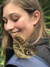 DCDSB Travel for Credit Parent Information Sessions