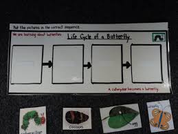 Life Cycle Of A Butterfly Velcro Flow Map Thinking Maps Flow Map Kindergarten Classroom
