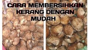 Karena itu dalam artikel ini, akan dibahas mengenai cara memulai investasi saham dari membuka rekening saham hingga. Cara Bersihkan Kerang Hilangkan Pasir Hanyir Petua Tip