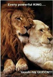 Every Powerful King Needs A Queen Animals Wild Cats Animals Beautiful