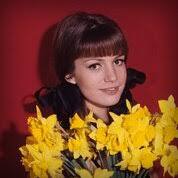 Катрин Спаак (Catherine Spaak): фильмы, биография, семья, фильмография —  Кинопоиск