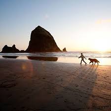 Best Dog Friendly Vacations On The West Coast Dog Friendly Vacation Dog Vacations Dog Friendly Beach
