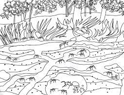 Learn About Ants