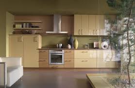 European Kitchen Cabinets And Kitchen Design Ideas Light Wood Cabinets Inspiration For European Kitchen Design Kitchen Cabinet Styles European Kitchen Cabinets