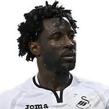 Wilfried Bony » Profile