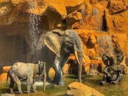 اسعارحديقة الاسرة والانشطة الموجودة فيها بالتفصيل