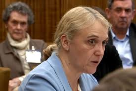 Medical staff lacked logins to key reporting system, chemotherapy bungle  inquiry hears