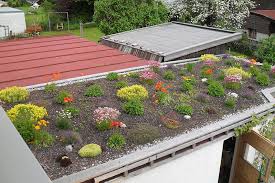 Zuhause, auf der fensterbank, als tischdekoration oder im garten, ist sie ein willkommener blickfang! Leistungen Garten Hartmann In Obergunzburg