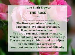 June Birth Flower Rose June Birth Flower Good Morning Image Quotes Birth Flowers