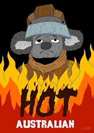 Hot Australian Koala In Bush Fire Australia Burning By Jj Adx Redbubble Fire Drawing Koala Drawing Koala