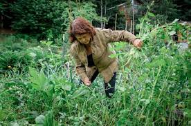 Our gardens give us happiness and pride, and we love to spend time tending the plants. How To Weed A Garden Wild Abundance
