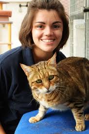 Animal sanctuary launches a £1.5m appeal for renovation