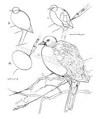 آموزش طراحی پرنده با اشکال هندسی - هنر آباد , آموزش نقاشی , خط تحریری ,  خوشنویسی , گرافیک